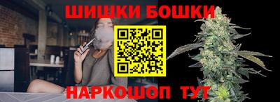 стаф Будённовск
