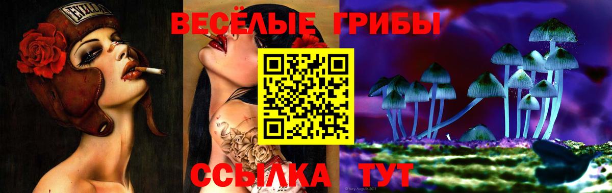 Галлюциногенные грибы Psilocybine cubensis Мурино
