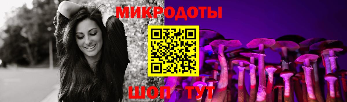 Псилоцибиновые грибы GOLDEN TEACHER  Вход с VPN  что такое наркотик  Мурино 